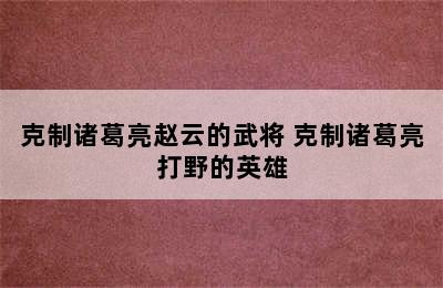 克制诸葛亮赵云的武将 克制诸葛亮打野的英雄